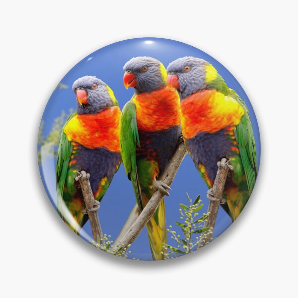 Item preview, Rainbow Lorikeet Love, Australian Birds, Bright and Colorful Birds with personality and sparkle designed and sold by Orianah.