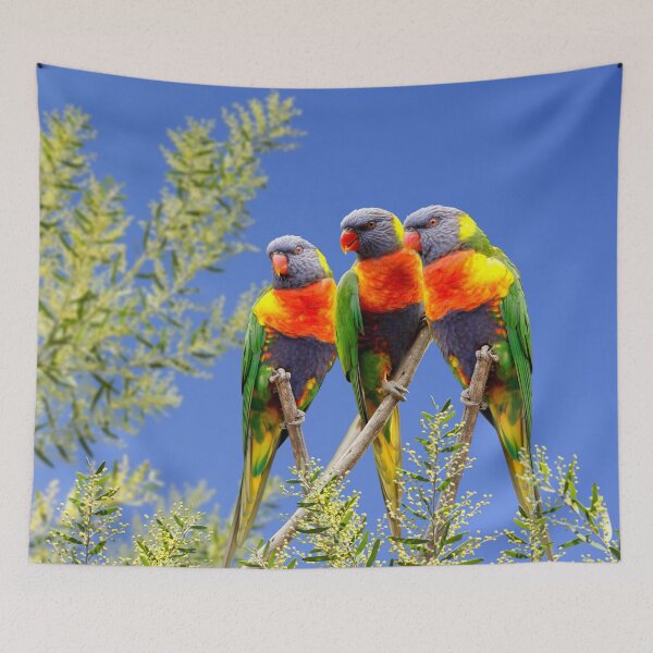 Item preview, Rainbow Lorikeet Love, Australian Birds, Bright and Colorful Birds with personality and sparkle designed and sold by Orianah.