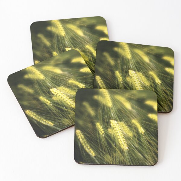 Item preview, Dreams of Wheat designed and sold by DiFigianoPhoto.