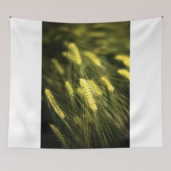 Aperçu de l'œuvre Dreams of Wheat créée et vendue par DiFigianoPhoto.
