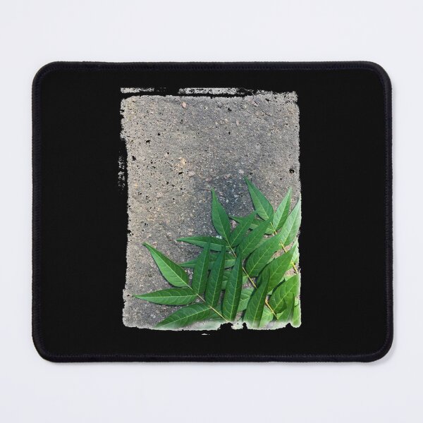 Item preview, green leaves on the pavement Premium designed and sold by Enchancegreen.