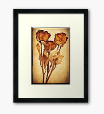 1588 Old Roses Framed Print