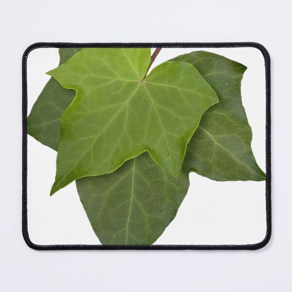 Item preview, Maple Leaf designed and sold by MyArt23.