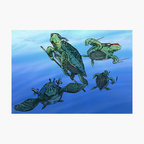 Real Ninja Turtles Photographic Print