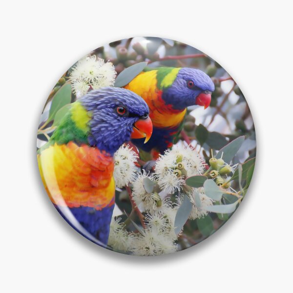 Item preview, Rainbow Lorikeet Love, Australian Birds, Bright and Colorful Birds with personality and sparkle designed and sold by Orianah.