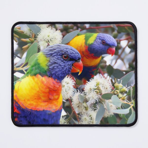 Item preview, Rainbow Lorikeet Love, Australian Birds, Bright and Colorful Birds with personality and sparkle designed and sold by Orianah.