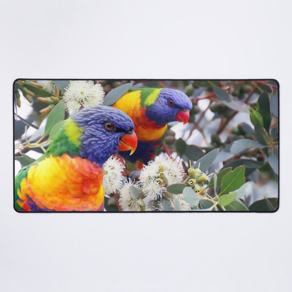 Item preview, Rainbow Lorikeet Love, Australian Birds, Bright and Colorful Birds with personality and sparkle designed and sold by Orianah.