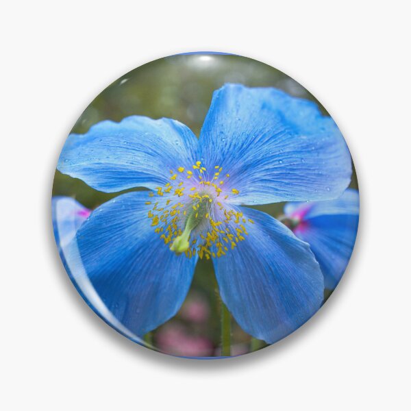 Artikelvorschau, Himalayan Blue Poppy entworfen und verkauft von Alisonchambers2.