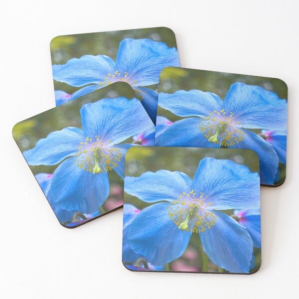 Item preview, Himalayan Blue Poppy  designed and sold by Alisonchambers2.