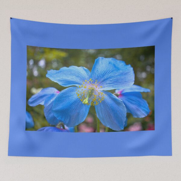 Item preview, Himalayan Blue Poppy  designed and sold by Alisonchambers2.