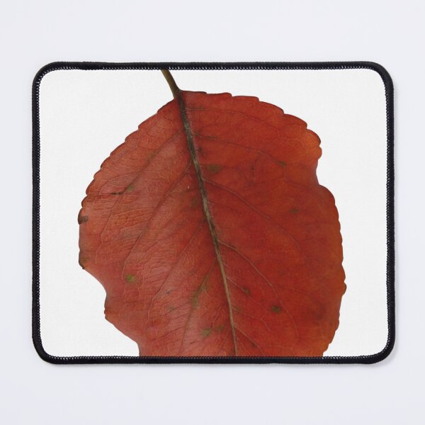 Item preview, Dried Leaves designed and sold by MyArt23.