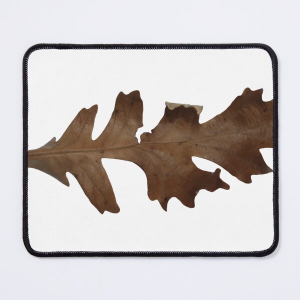 Item preview, Dried Leaves designed and sold by MyArt23.