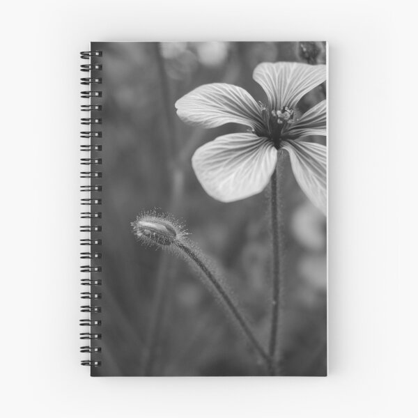 Item preview, BW flower designed and sold by ChelShaw13.
