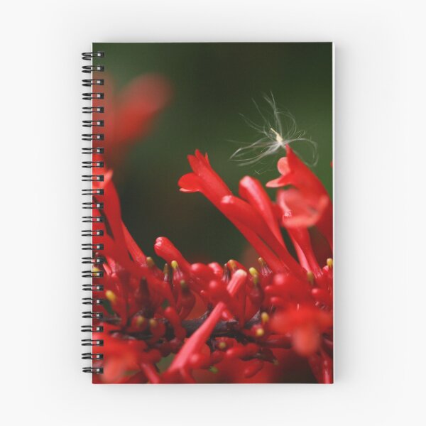 Item preview, MBG Red 2 designed and sold by beeden.