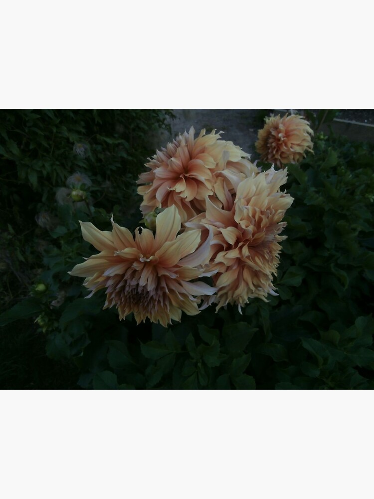 flower by slagseed