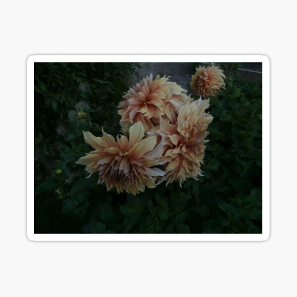 flower Sticker