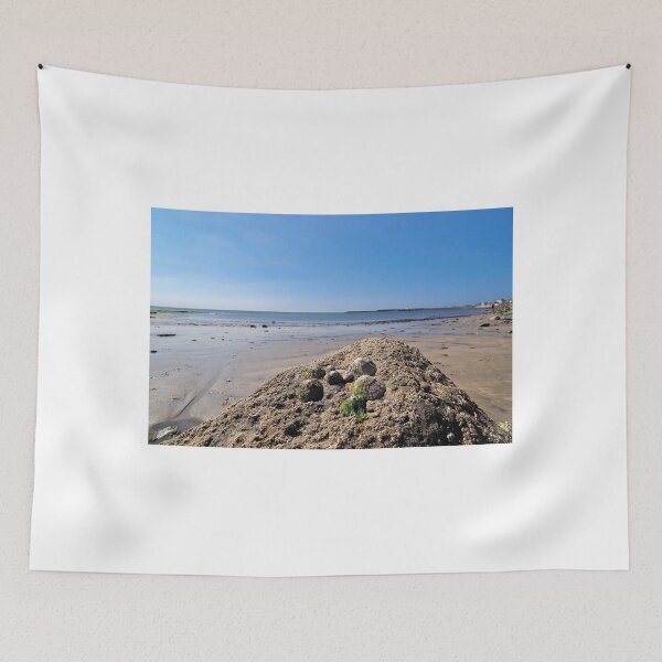 Item preview,  Limpets And Barnacles designed and sold by Dorset Girl.