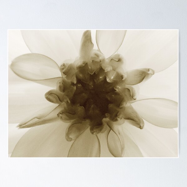 Item preview, Ballerina designed and sold by Andi Hardwick.