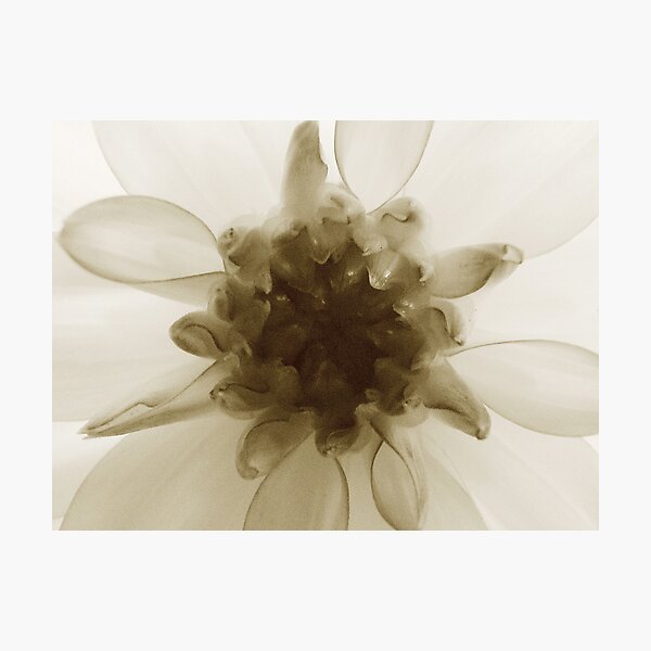 Item preview, Ballerina designed and sold by Andi Hardwick.