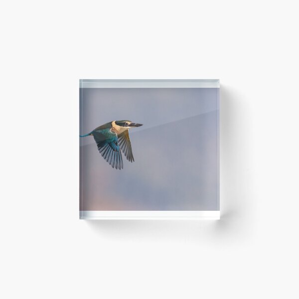 Item preview, Kingfisher in flight  designed and sold by earlcooknz.