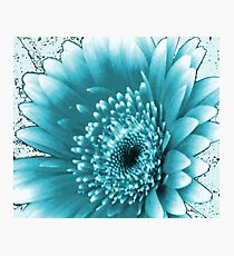 altered image Photographic Print