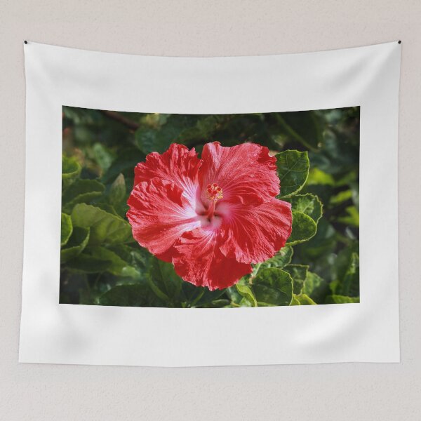 Item preview, Red Hibiscus designed and sold by DPalmer.