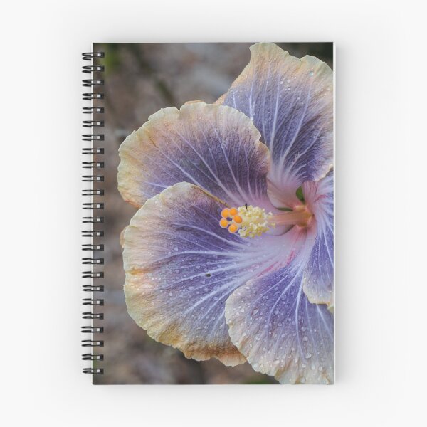 Item preview, Hibiscus, beautiful beyond words designed and sold by RGKphotos.