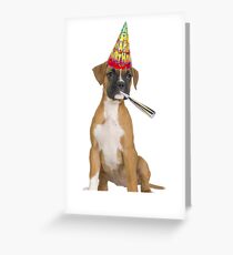 Boxer Birthday Greeting Card