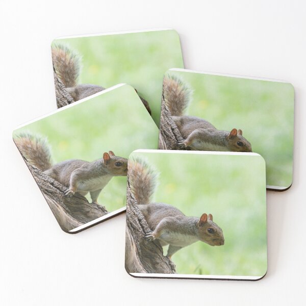 Item preview, Grey Squirrel designed and sold by Adrian Rowley.