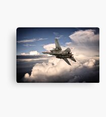 Tomcat VF-102 Canvas Print