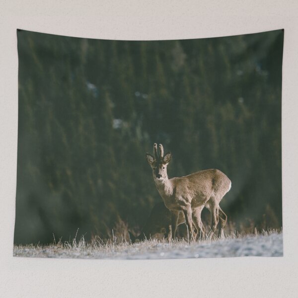 Item preview, Hello spring! designed and sold by ewkaphoto.
