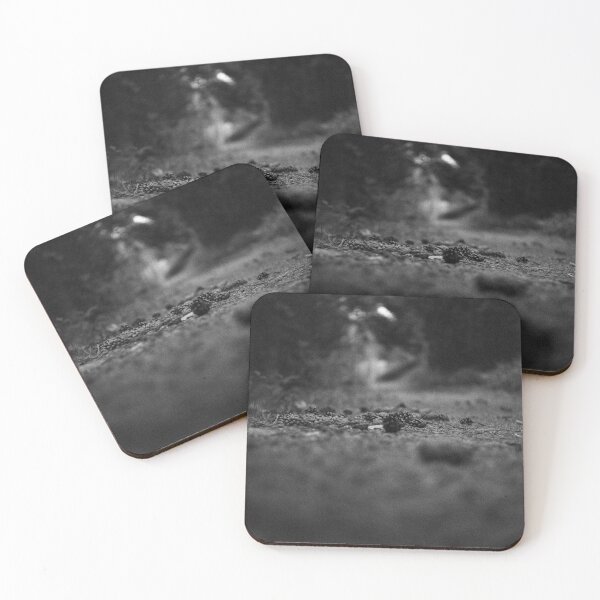 Item preview, they grow and they fall designed and sold by 5letters.