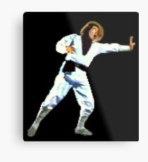 Raiden Metal Print
