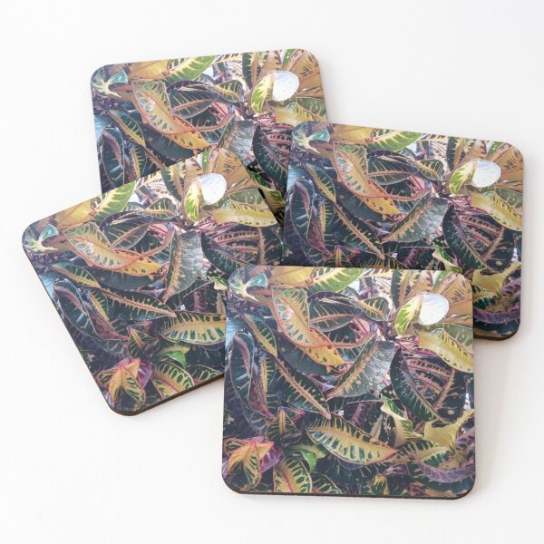 Item preview, Croton Leaves Photography Design designed and sold by DHAMMISTYLES.