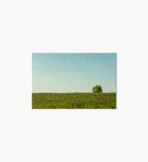 Lone Tree Art Board