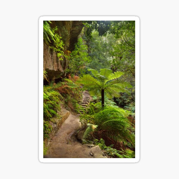Canyon Trail Sticker