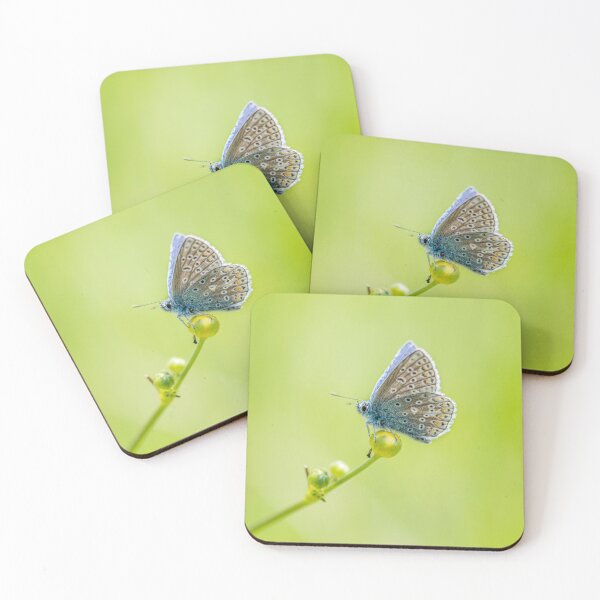 Artikelvorschau, Common Blue entworfen und verkauft von Jinxyboy1908.