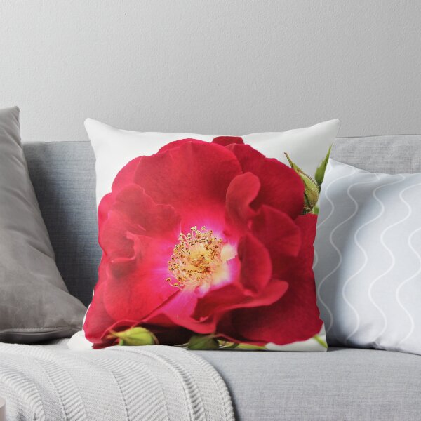 Item preview, Ruby Rose designed and sold by Lorraine Wilson.
