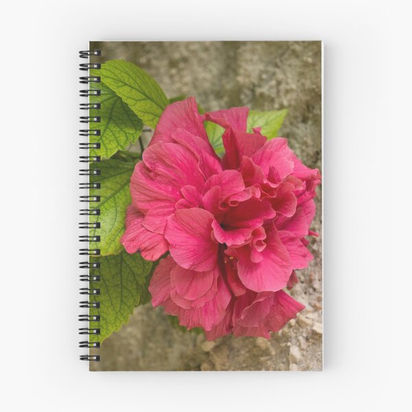 Item preview, Rough and Soft - Satiny Pink Hibiscus Against Coarse Stony Cliff designed and sold by Georgia Mizuleva.