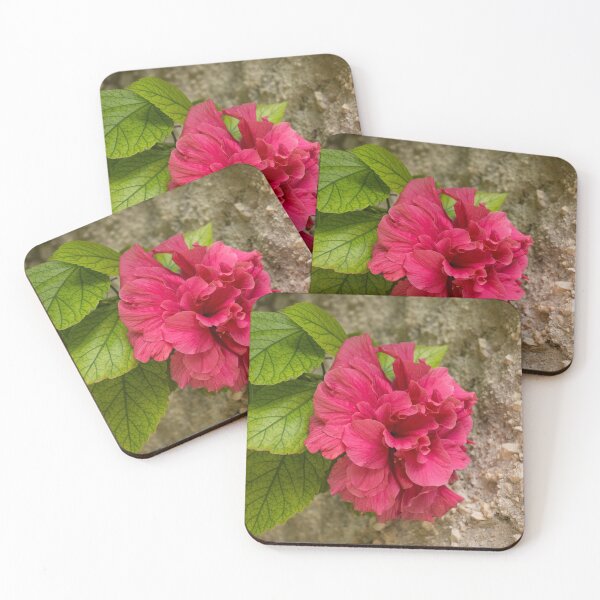 Item preview, Rough and Soft - Satiny Pink Hibiscus Against Coarse Stony Cliff designed and sold by Georgia Mizuleva.