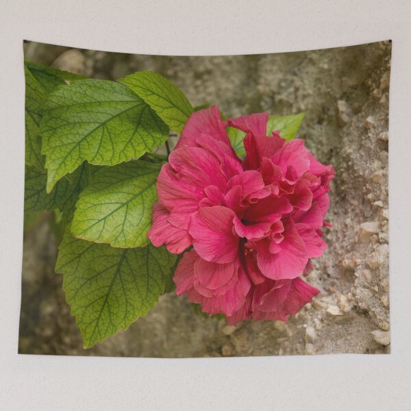 Item preview, Rough and Soft - Satiny Pink Hibiscus Against Coarse Stony Cliff designed and sold by Georgia Mizuleva.