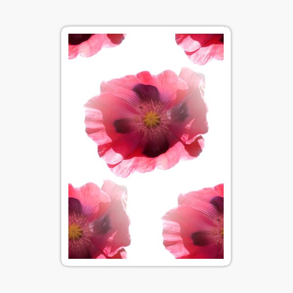 Item preview, frilly poppy head purple and pink two designed and sold by KABFA.