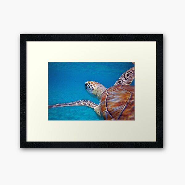 Mother of the Sea Framed Art Print