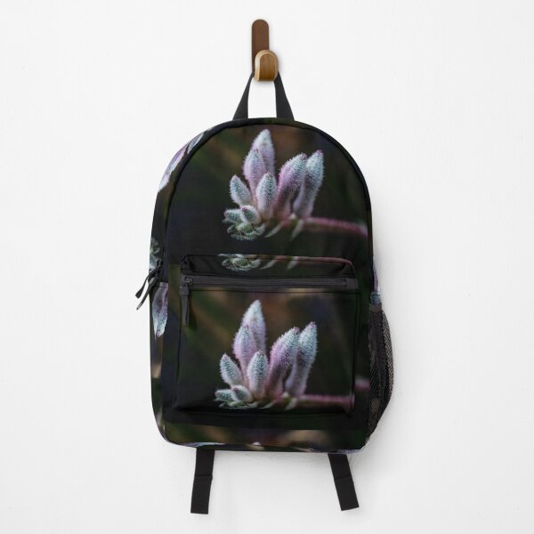 Item preview, Kangaroo Paw Flower designed and sold by Michael van der Hoorn.