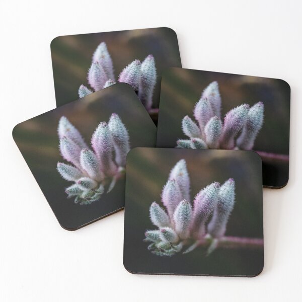 Item preview, Kangaroo Paw Flower designed and sold by Michael van der Hoorn.