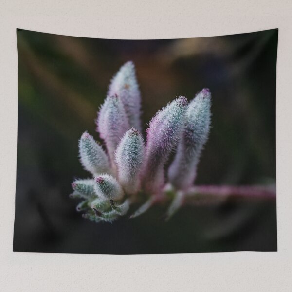 Item preview, Kangaroo Paw Flower designed and sold by Michael van der Hoorn.