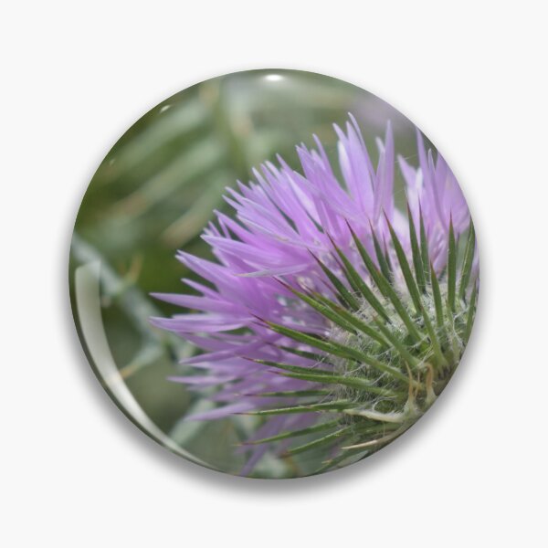Item preview, Galactites tomentosa 1 designed and sold by Furiarossa.