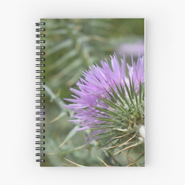 Item preview, Galactites tomentosa 1 designed and sold by Furiarossa.
