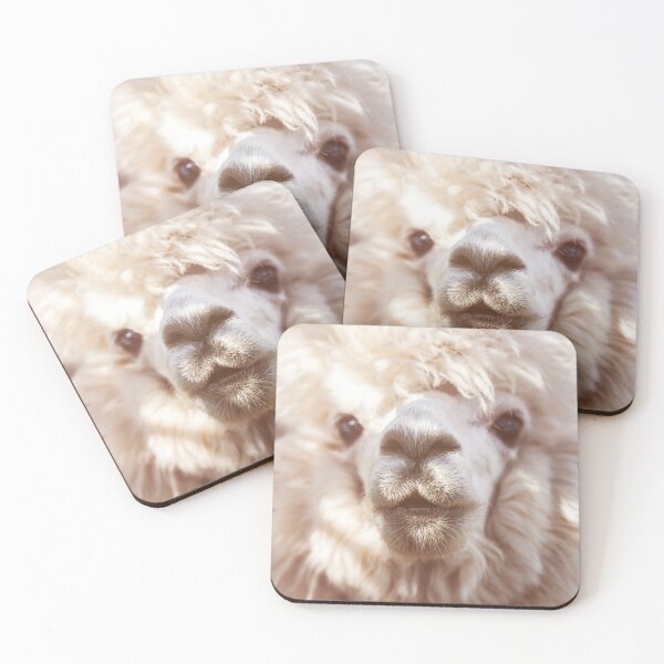 Item preview, Funny alpaca llama isolated on blur background designed and sold by Chris-Thodd.
