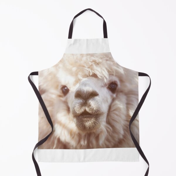 Item preview, Funny alpaca llama isolated on blur background designed and sold by Chris-Thodd.